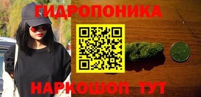 СК Кимры