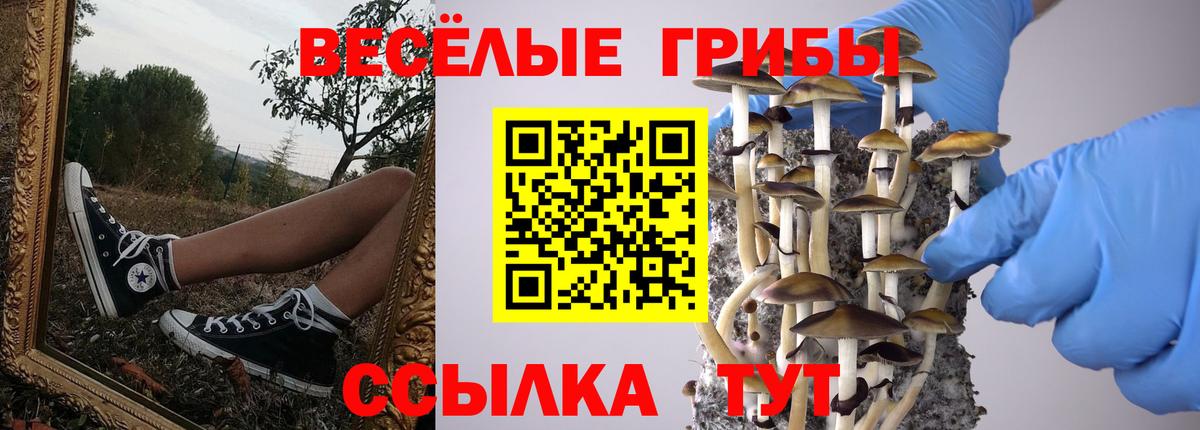 Галлюциногенные грибы мицелий  Вход с VPN  Арзамас 